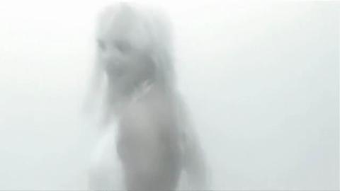 23275