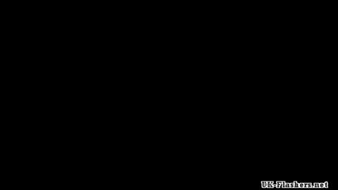 12025
